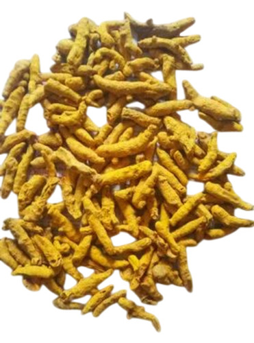 Dried Turmeric Finger