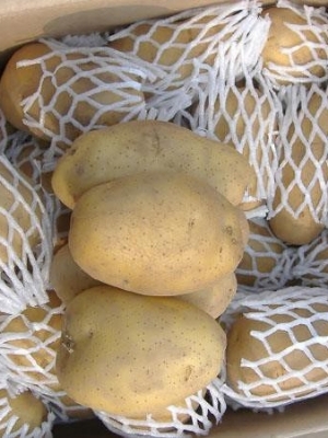 Farm Fresh Potato - Cultivation Type: Winter