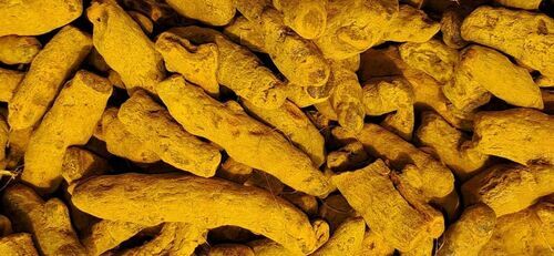 Organic Yellow Turmeric Finger 