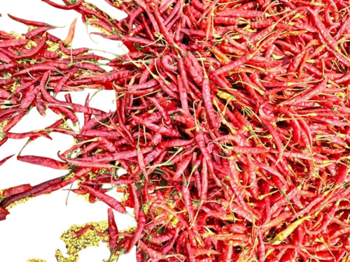 Teja Red Chilli