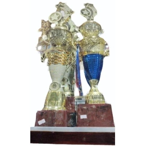Acrylic Trophies