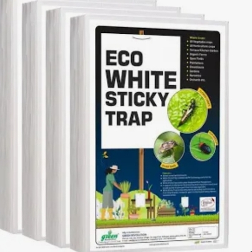 Eco White Sticky Trap