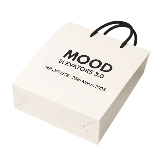 Designer Premium Sbs Laminated Paper Bag