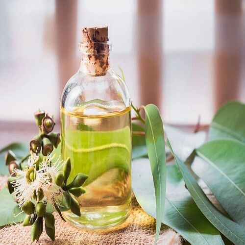 Eucalyptus Horistes Oil