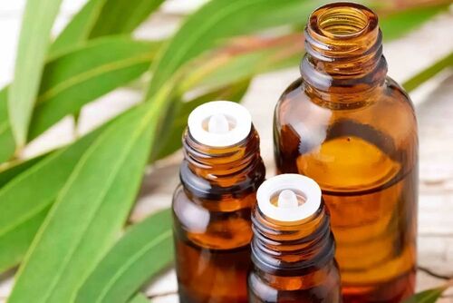 Eucalyptus Radiata Oil