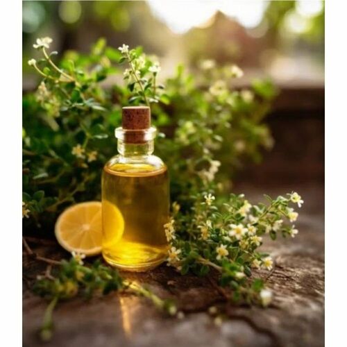 Lemon Thyme Essential Oil