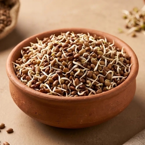 Nutrient Dense Horse Gram Sprouts
