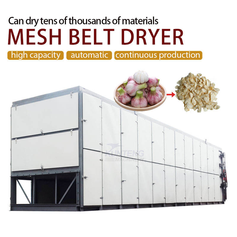 Automatic Fresh Garlic Peeling Washing Slicing Drying Line Industrial Garlic Slice Dehydrator Drying Processing Plant - Feature: High Efficiency Low Cost