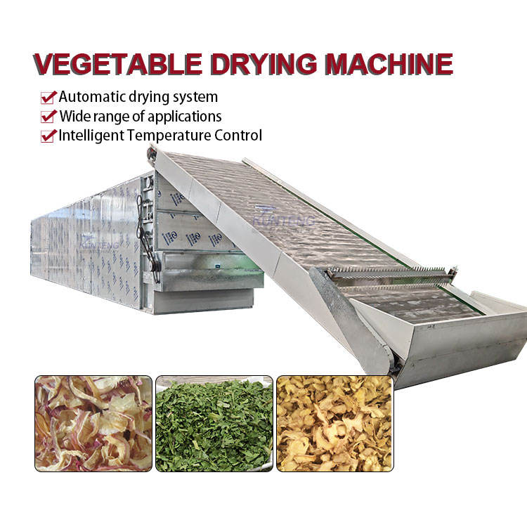 Continuous Onion Parsley Cilantro Dryer Machine Industrial Garlic Vegetable Herb Dehydrating Drying Processing Line - Dimension (L*W*H): 220*250*1000 Centimeter (Cm)