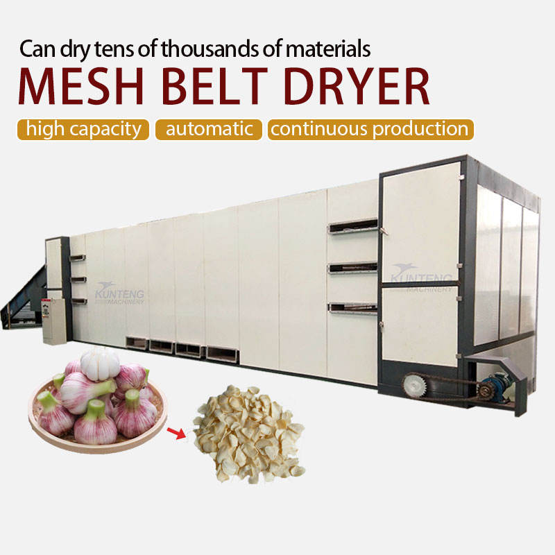 Full Automatic Garlic Production Line Fresh Garlic Peeling Washing Drying Milling Integrated Processing Equipment Plant - Dimension (L*W*H): 220*250*1000 Centimeter (Cm)