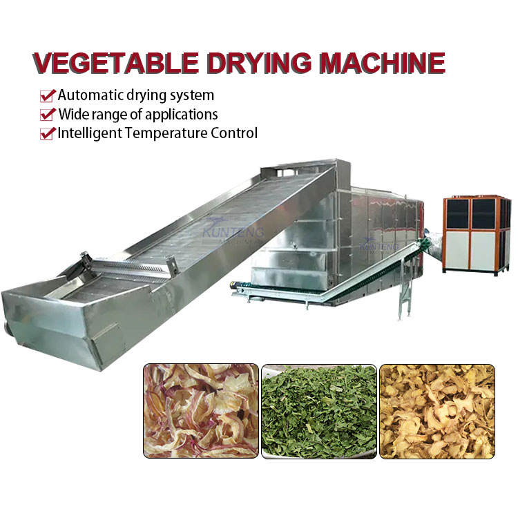 Industrial Heat Pump Onion Parsley Cilantro Coriander Dryer Machine Automatic Vegetable Herb Dehydrator Drying Plant - Dimension (L*W*H): 220*250*1000 Centimeter (Cm)