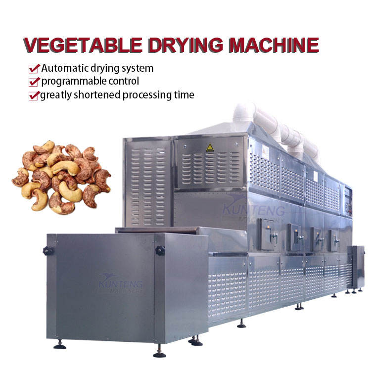 Industrial Microwave Pet Food Sterilizing Machine Nuts Beans Maturation Dryer Pellet Dehydrator Processing Plant - Dimension (L*W*H): 10960*1500*2200 Millimeter (Mm)