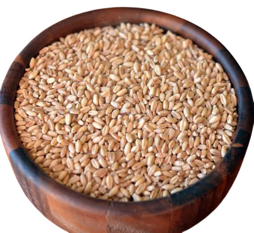 Natural Wheat Lokwan