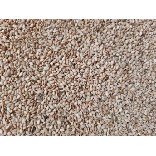 Organic Sesame Seeds
