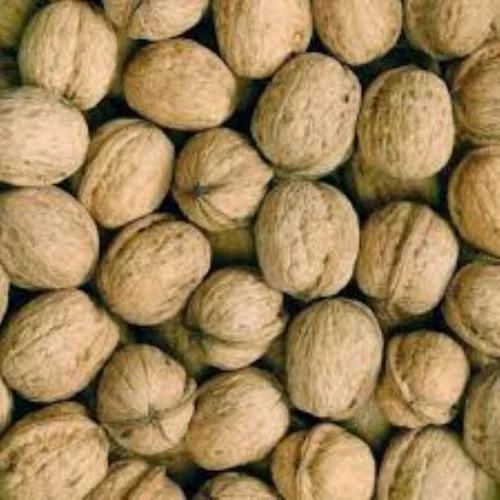 Chile Walnuts Inshell