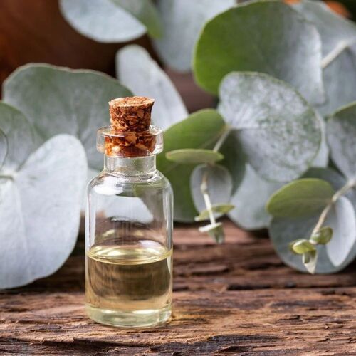 Eucalyptus Essential Oil