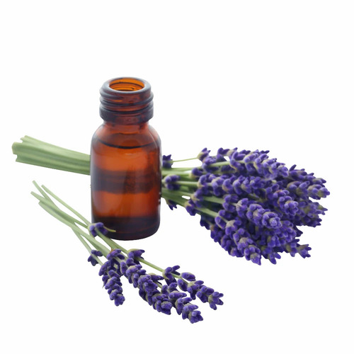Vulgaria Lavender Essential Oil