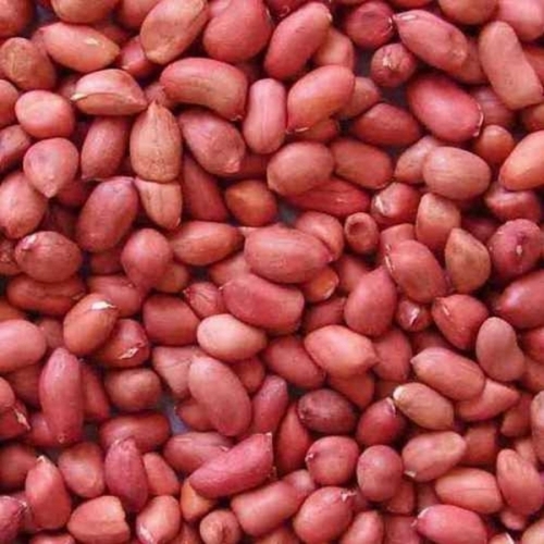 Ground Nuts