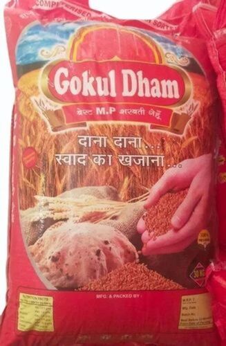 Gokul Dham Whole Wheat Grain - Color: Golden Brown