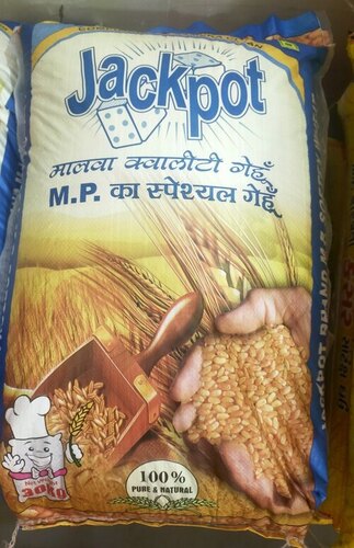 Mp Wheat