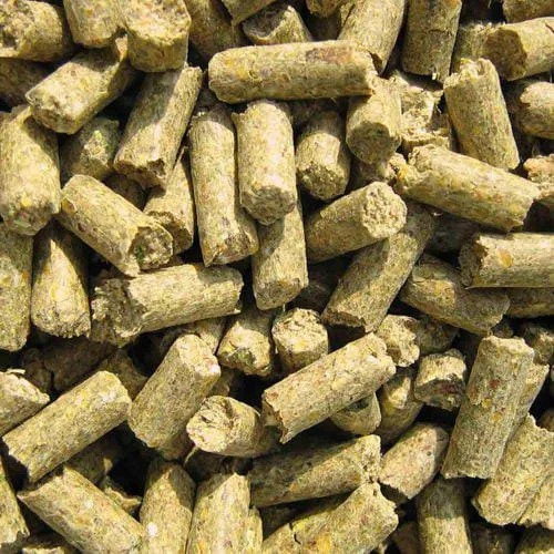 Pelleted Horse Feed