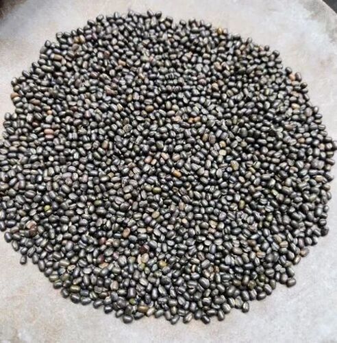 Sabut Urad Dal By Kashyap Food Products