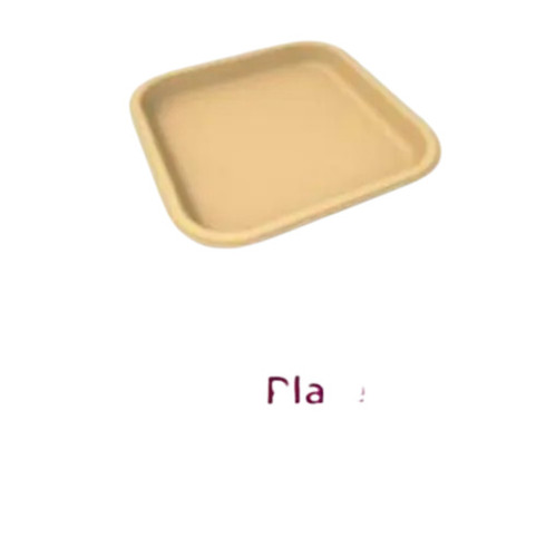 9 Inch Disposable Plate