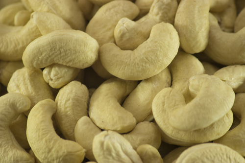 Cashew Nut W240