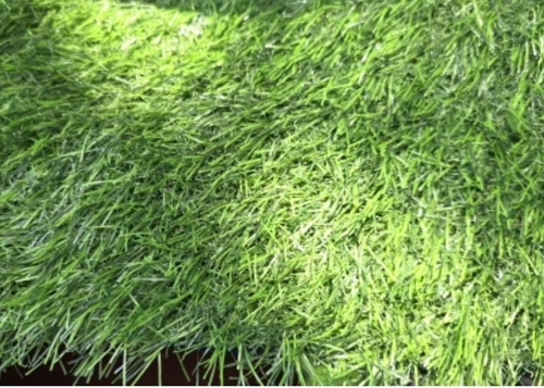 Artificial Grass
