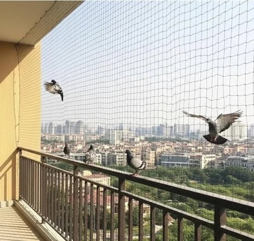 Bird Protection Safety Net