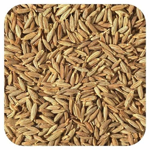 Cumin Seeds