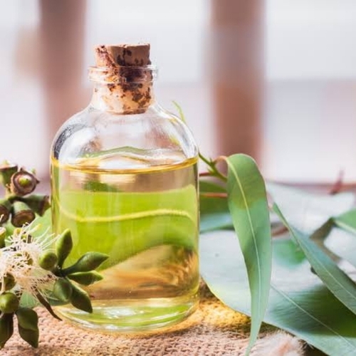 Eucalyptus Oils By Riya Agro Products