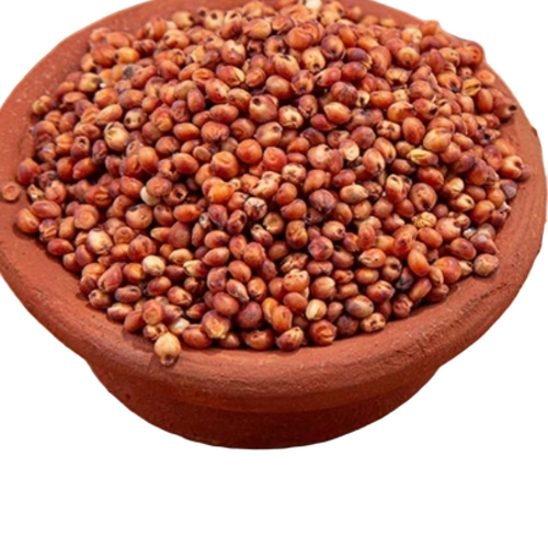 Red Sorghum