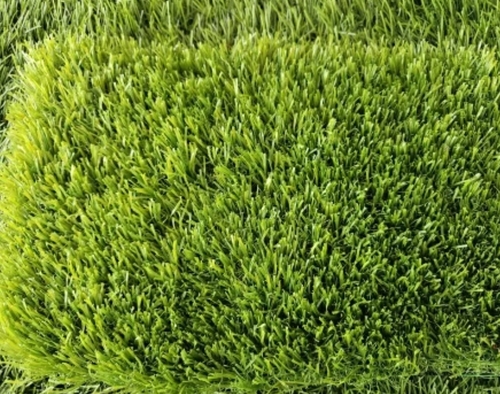 Artificial Grass