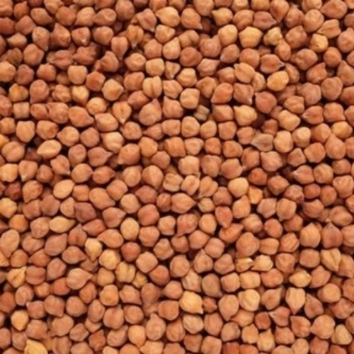 Black Chickpeas Kala Chana - Cultivation Type: Organic