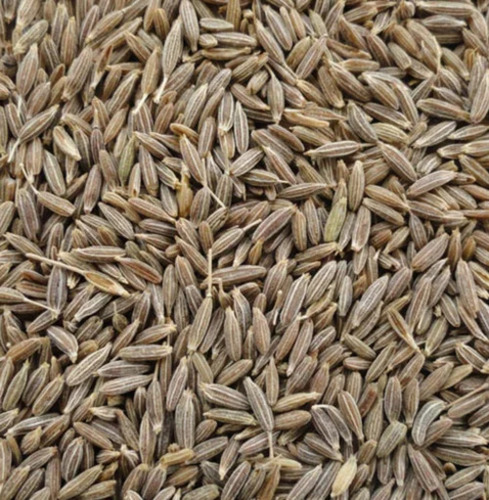 Cumin Seed