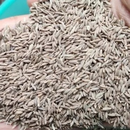 Cumin Seeds Jeera