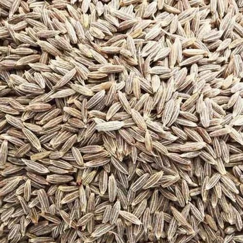 Dried Cumin Seeds