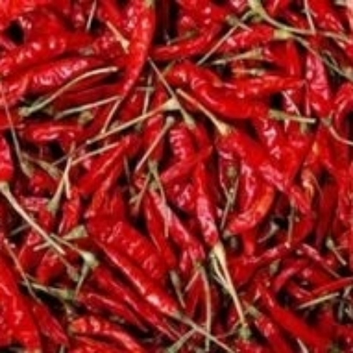 Guntur Dry Red Chilly