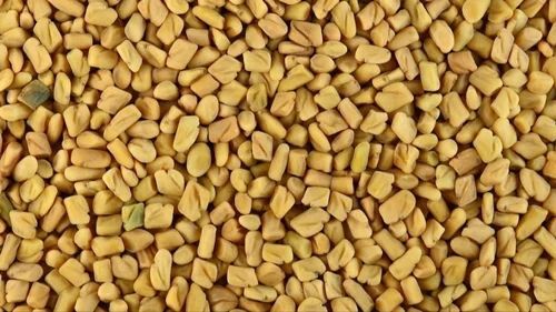Yellow Fenugreek Seed