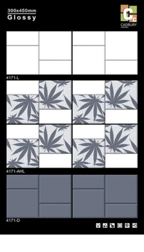 300x450 Wall Tiles
