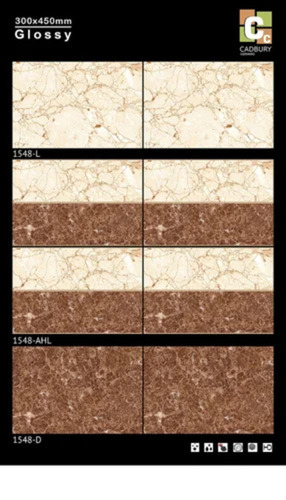 450x300mm Digital Wall Tiles