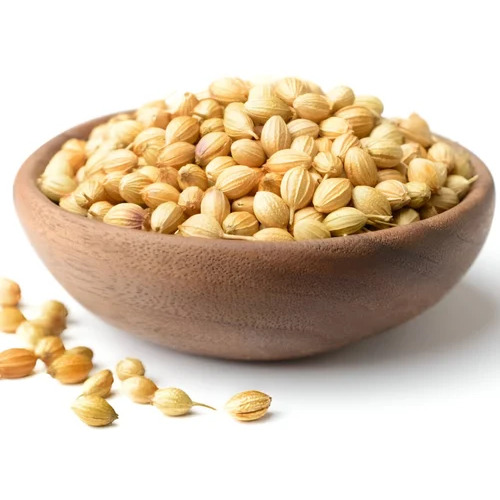 Coriander Seeds Dhaniya Rajasthan
