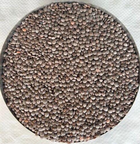 Fresh Black Masoor Dal