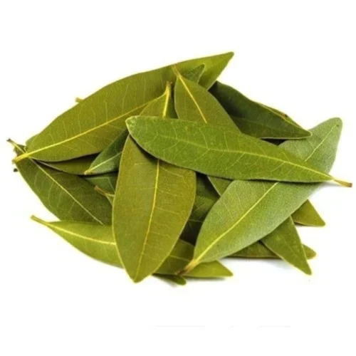 Bay Leaf