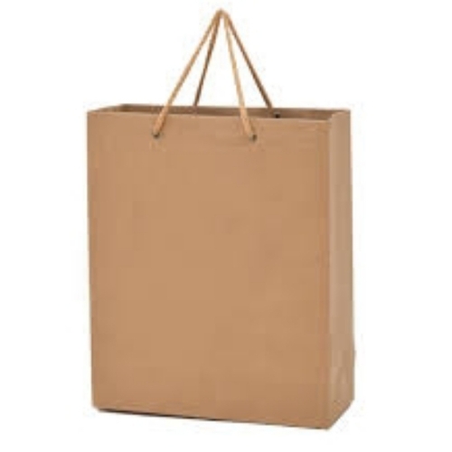Brown Paper Carry Bags
