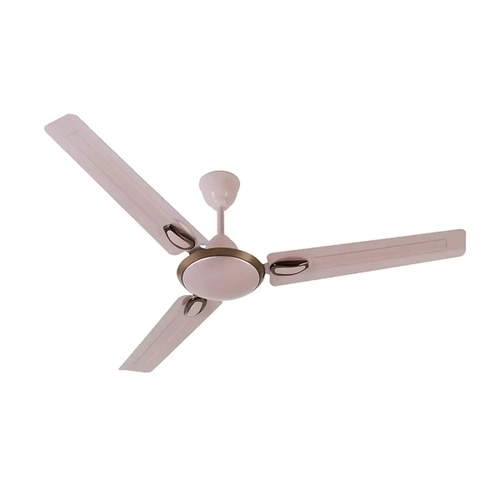 Decorative Ceiling Fan By Sangam Electronics
