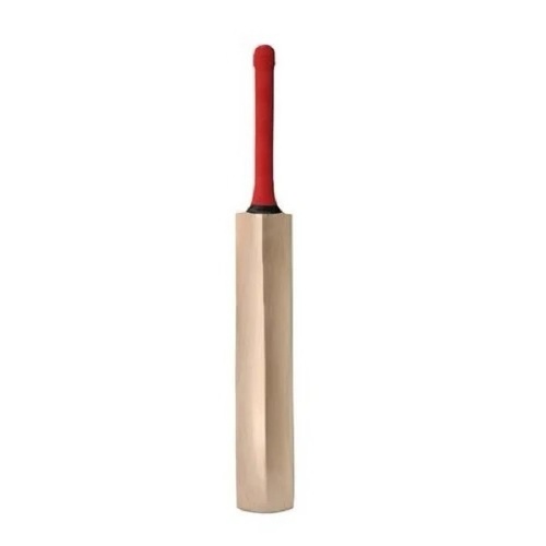 Kashmir Willow Cricket Bat