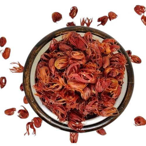 Mace Spice Javitri