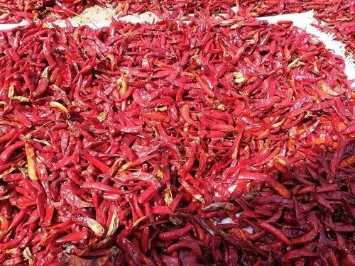 Natural Dry Red Chilli